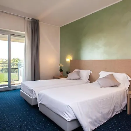 Palace Zingonia Отель 4*