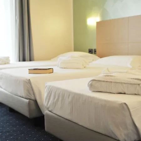 Отель Palace Zingonia 4*