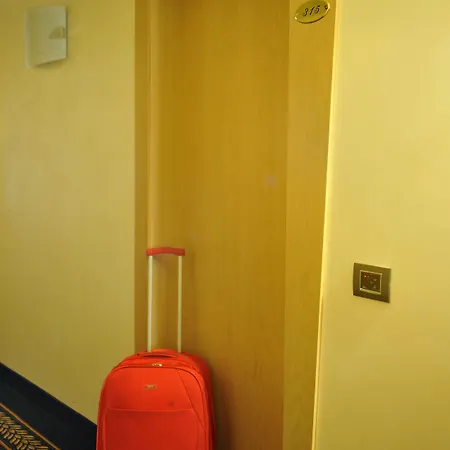 Palace Zingonia Отель 4*